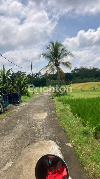 image TANAH INVESTASI DI TABANAN (7)