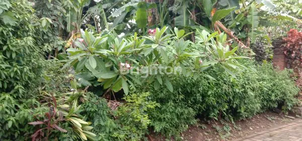 image LAHAN STRATEGIS 115M² DEKAT DENPASAR & UBUD (4)