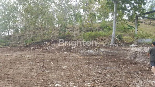 image TANAH DI JUAL  DIJALAN UTAMA MENUJU WISATA PANTAI GEMAH, TULUNGAGUNG (5)