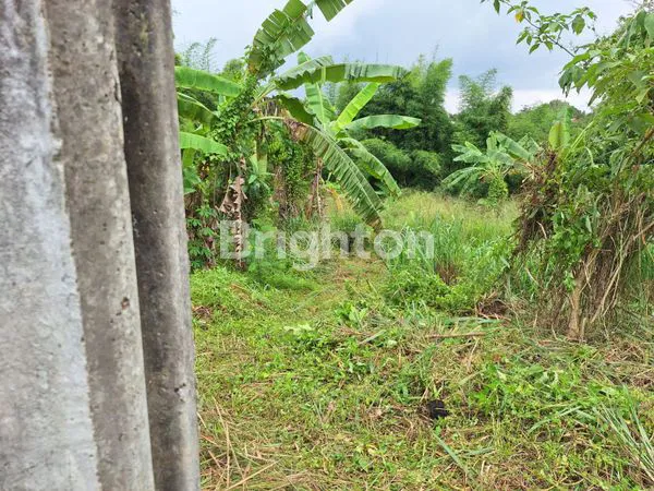 image TANAH SHM 1.000 M² DIJUAL DI BSD – LOKASI PREMIUM SAMPING APARTEMEN EASTON PARK, MENGHADAP JALAN UTAMA\N (5)