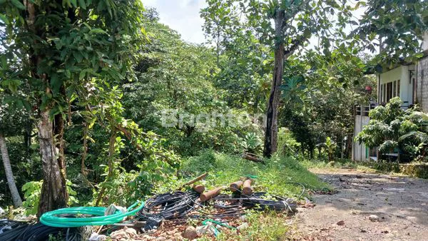 image DIJUAL TANAH STRATEGIS LOKASI JALAN POROS SOEKARNO - HATTA KM 13 COCOK DIBUAT GUDANG, WORKSHOP DAN RUKO HARGA NEGO (4)