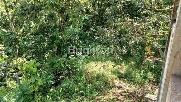 image DIJUAL TANAH STRATEGIS LOKASI JALAN POROS SOEKARNO - HATTA KM 13 COCOK DIBUAT GUDANG, WORKSHOP DAN RUKO HARGA NEGO (6)