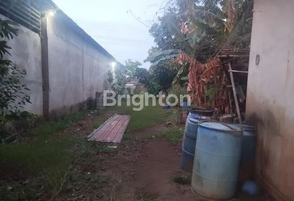 image TANAH LUAS 990M² DI JALAN UTAMA SIANTAN (5)