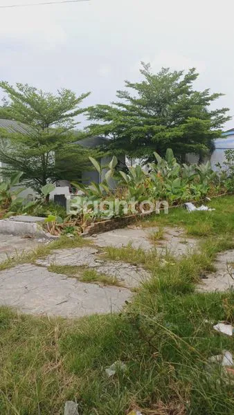 image TANAH KOSONG MARELAN IX (7)