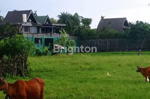 image DISEWA TANAH MURAH DI JL RAYA KUTA (1)