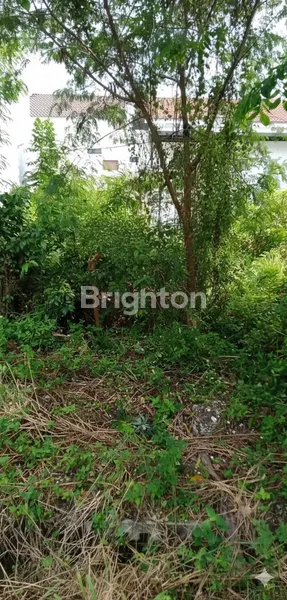 image INVESTASI TERBAIK! TANAH DI JALAN UTAMA PONDOK MUTIARA! (3)