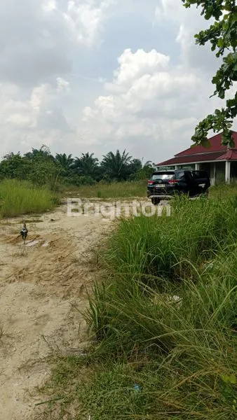 image GUDANG & RUMAH 1000M² DI KULIM (3)