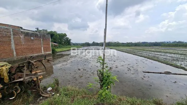 image JUAL SAWAH BUNDAR TANJUNGTIRTO JALAN KELURAHAN TANJUNGTIRTO (1)