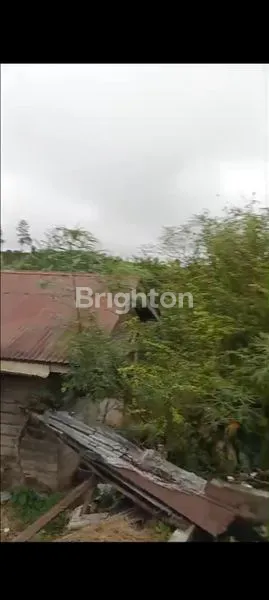 image KEBUN JUERUK SUMATERA UTARA KABANJAHE (7)