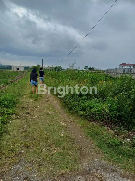 TANAH KAV KOMPLEK INKOPAU KELAPA NUNGGAL CILENGSI