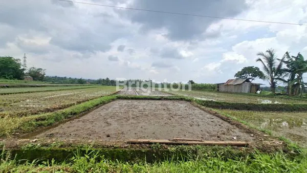 image JUAL SAWAH BUNDAR STRATEGIS JALAN KELURAHAN TUNJUNGTIRTO (1)