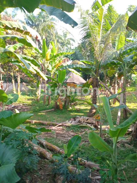 image LAHAN STRATEGIS PURI CIKEAS 4232M² (2)