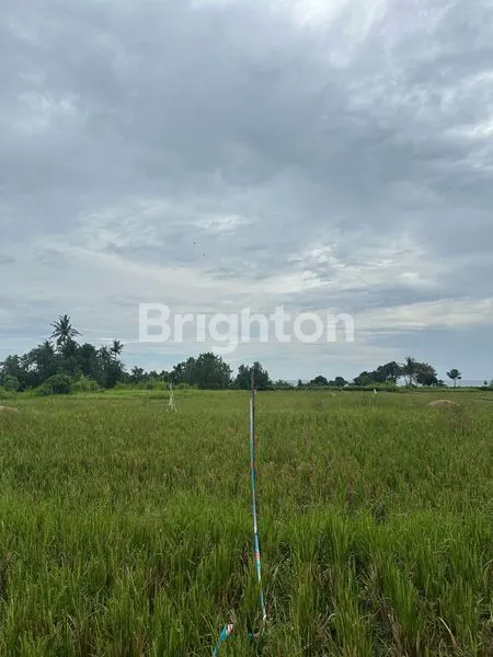 image TANAH KAVLING EKSKLUSIF TABANAN (1)