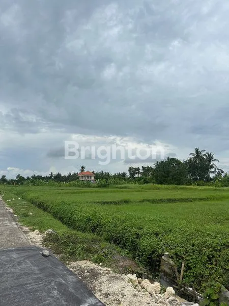 image TANAH KAVLING EKSKLUSIF TABANAN (3)