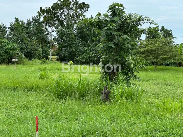 image TANAH KAVLING EKSKLUSIF TABANAN (5)
