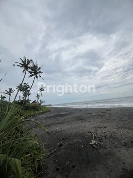 image TANAH KAVLING PINGGIR PANTAI BELONG TABANAN (8)