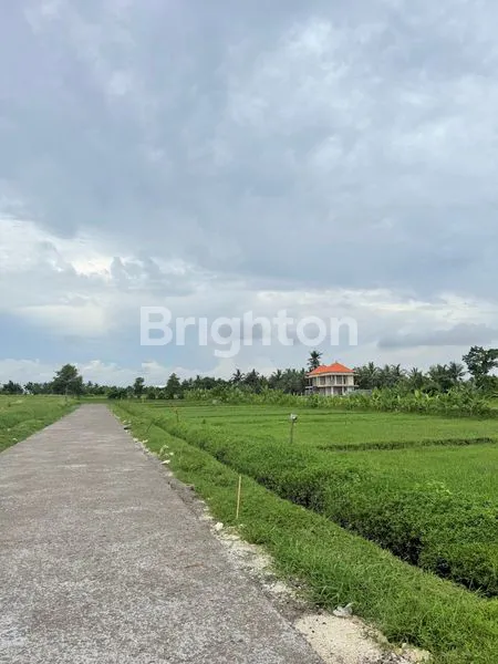 image LAND KAVLING BELONG BEACH (7)