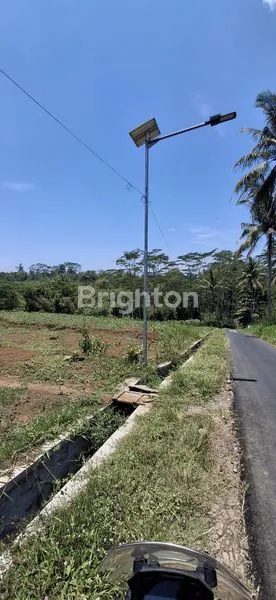 image TANAH SIAP BANGUN LUAS 4.500 M2 DEKAT PROYEK KAMPUS UNIRA 2 DI DESA PALAAN, KEC. NGAJUM, KAB. MALANG\N (7)