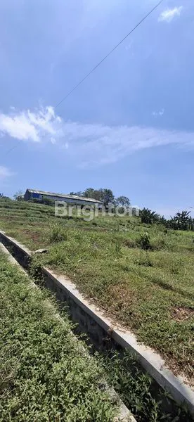 image TANAH SIAP BANGUN LUAS 4.500 M2 DEKAT PROYEK KAMPUS UNIRA 2 DI DESA PALAAN, KEC. NGAJUM, KAB. MALANG\N (5)