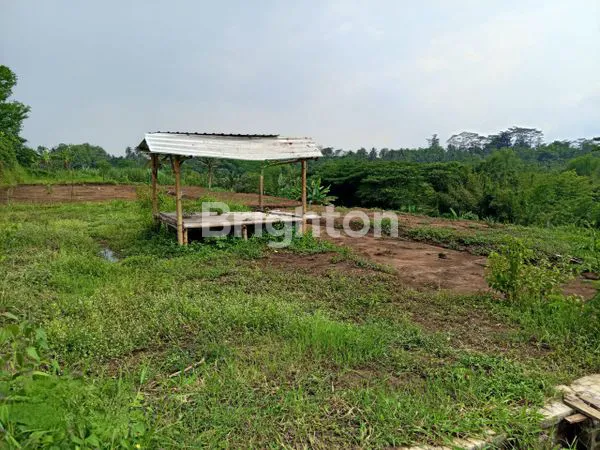 image TANAH SIAP BANGUN LUAS 4.500 M2 DEKAT PROYEK KAMPUS UNIRA 2 DI DESA PALAAN, KEC. NGAJUM, KAB. MALANG\N (2)