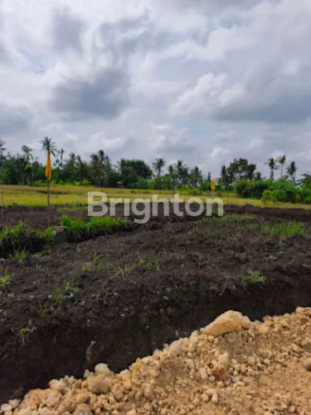 image TANAH INVESTASI ZONA PARIWISATA TABANAN (2)