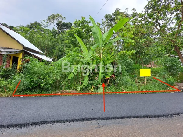 TANAH DIJUAL DI DESA RELIGI NYATNYONO UNGARAN BARAT