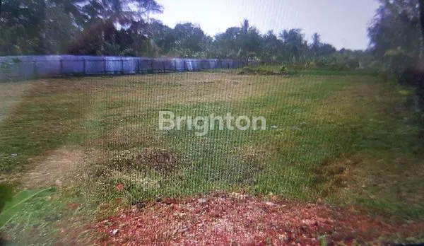 image TANAH PINGGIR JALAN COCOK UNTUK USAHA ATAU INVEST  (4)