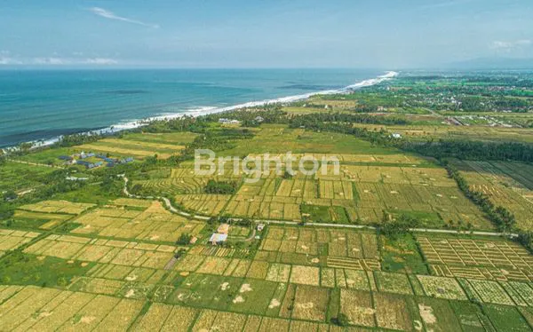 image TANAH PREMIUM TABANAN DEKAT PANTAI POPULER (4)