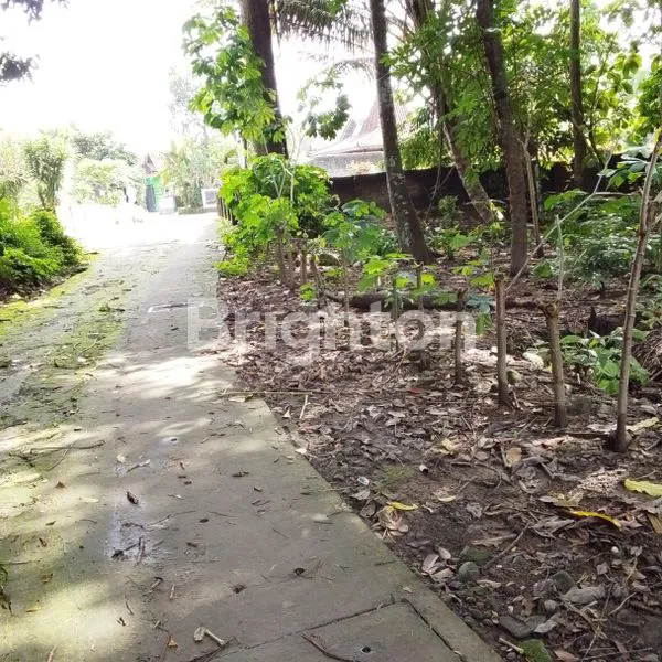 image TANAH LUAS 2877M² SHM DI SLEMAN SIAP BANGUN (4)