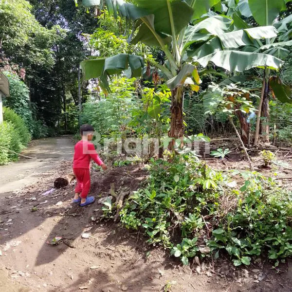 image TANAH LUAS 2877M² SHM DI SLEMAN SIAP BANGUN (6)