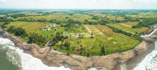 image EXCLUSIVE LAND TABANAN A FEW MINUTES TO THE BEACH  (7)
