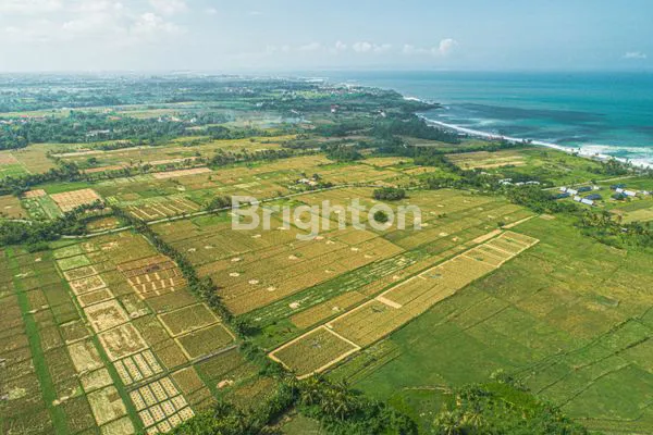 image EXCLUSIVE LAND TABANAN A FEW MINUTES TO THE BEACH  (2)