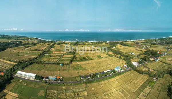 image TANAH MEWAH VIEW SAWAH TEPI PANTAI TABANAN (6)