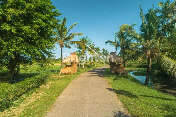 image TANAH MEWAH VIEW SAWAH TEPI PANTAI TABANAN (8)