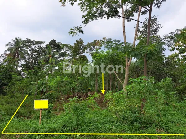 image TANAH DIJUAL DI DESA RELIGI NYATNYONO UNGARAN BARAT (1)