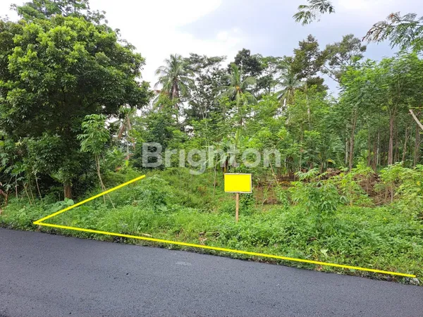 image TANAH DIJUAL DI DESA RELIGI NYATNYONO UNGARAN BARAT (2)