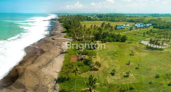 image KAVLING EXCLUSIVE UNTUK VILLA TABANAN (5)