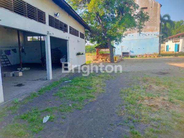 image GUDANG PREMIUM DI LATEK: INVESTASI TERBAIK DENGAN SARANG WALET AKTIF (3)