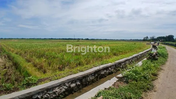 DIJUAL TANAH GARAPAN COCOK INVESTASI PASIVE INCOME DI MUARAGEMBONG BEKASI