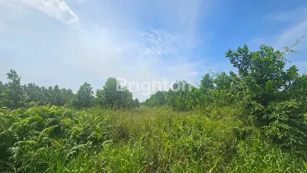 image LAHAN GUDANG LUAS 8.957M² DI PEKANBARU (5)