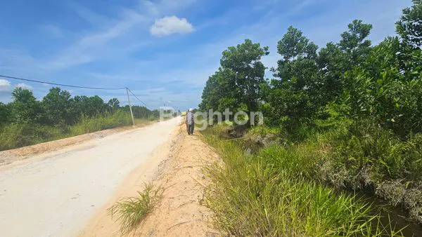 image LAHAN GUDANG LUAS 8.957M² DI PEKANBARU (6)