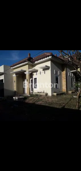 image RUMAH 1 LT LUAS (2)
