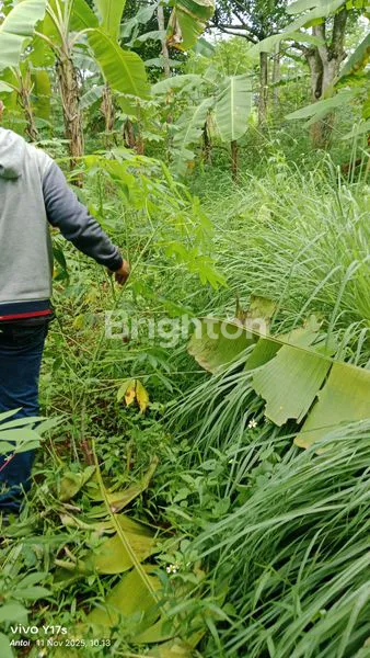 image TANAH SHM 300M² DI KEDUNG PANE (3)