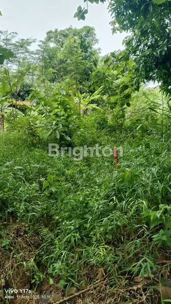 TANAH SHM 300M² DI KEDUNG PANE