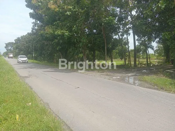 image LAHAN SELUAS 3 HEKTAR DI PINGGIR JALAN RAYA  BATANG KUIS - PANTAI LABU, COCOK DIBANGUN TEMPAT WISATA ATAU WATER PARK MAU PUN PERUMAHAN (1)