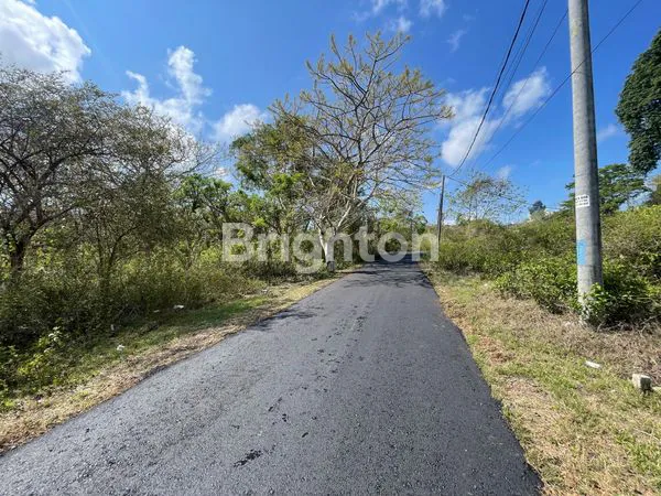 image TANAH KAVLING SIAP BANGUN AREA DEKAT  KAMPUS JIMBARAN BALI (4)