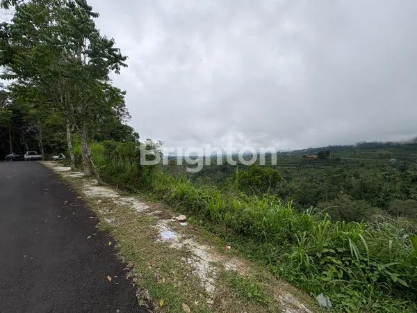 image TANAH 1 HEKTAR DI JALAN UTAMA PENDAKIAN GUNUNG PUCAK MANGU (1)