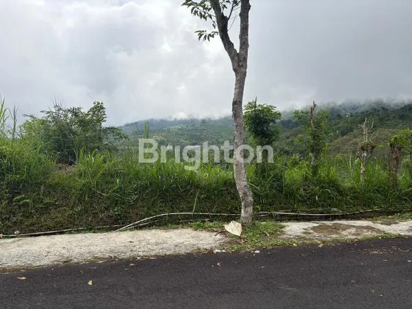 image TANAH 1 HEKTAR DI JALAN UTAMA PENDAKIAN GUNUNG PUCAK MANGU (5)