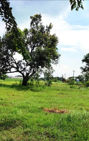 image TANAH DIJUAL JL BABAKAN KARAWANG JAWA BARAT (3)