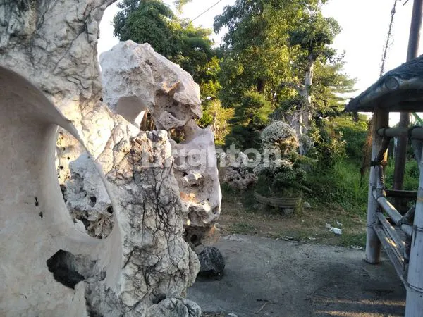 image TANAH STRATEGIS DI JL. RAYA TAMBAKREJO, KRATON – GETAS (2)